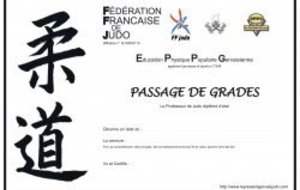 Passage de grades pour + de 100 judoka
