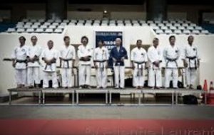 Experts Japonais à Coubertin - Paris 16