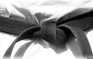Ceinture noire 2° dan de Karaté - FFKDA