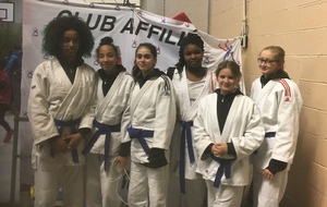 Tournoi minimes - Auvers Sur/Oise - FFJ 95