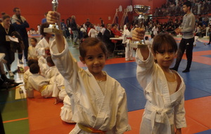 Tournoi jeunes JC Pantin FFJ 93