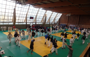 Tournoi national seniors - Noisy le Grand FFJ