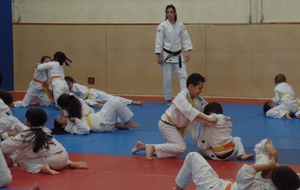 Qualification Fédérale - Animateur suppléant