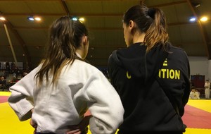 Championnat - Minimes et Benjamins FFJ 93