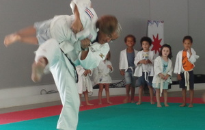 Judo - Jardin d'acclimatation - FFJ IDF