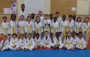 Le passage de la ceinture Jaune