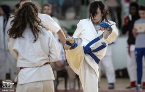 Ju Jitsu combats FFJ - Ranking list 2019