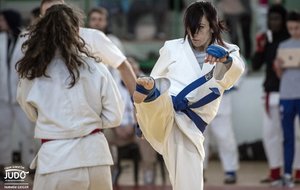 Ju Jitsu combats FFJ - Ranking list 2019