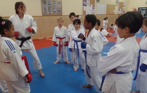 Entrainement poussins - Fighting system 