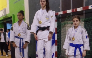 Championnat du 93 FFJ - Cadet(te)s 1°div