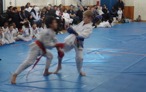 Ju Jitsu de combats - Les Lilas FFJ 93