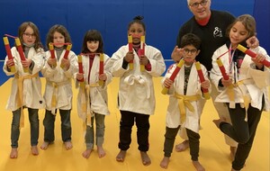 ARS - Arts martiaux Japonais