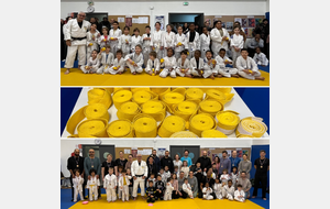 Ceinture Jaune - Petit Samouraï / Parents