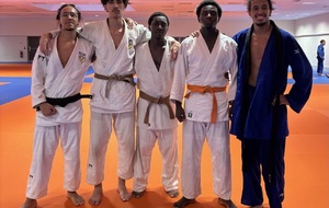 Stage - Prisme Bobigny - FFJ 93