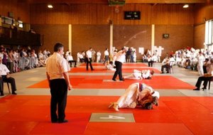 Le Gymnase et les surfaces de combats