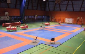 les aires de combat du gymnase de Pantin