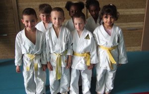 Catégorie baby judo