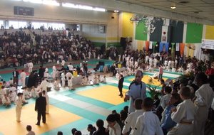 Les surfaces de combats