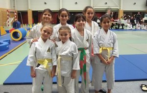 L'équipe des poussines et mini - poussines