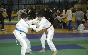 Anisse - Minimes ( - 50 kg )