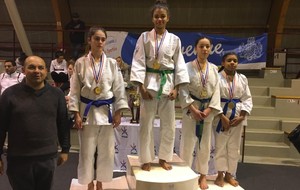 Louna médaille d'argent - Championnat du 93 FFJ - Minimes