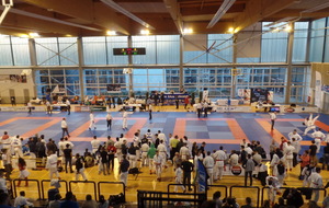 Open international d'Orléans - Ju Jitsu de combats - Delmi Derri - 94 kg et Zehwa Feddi - 55 kg ( place de 5 )