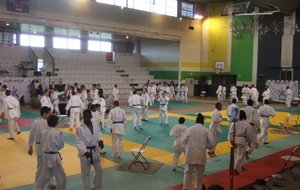 Le palais des sports de St Denis (93)