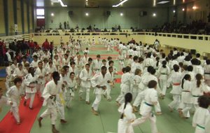 L'échauffement des 150 Judokas