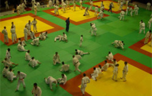 Dojo d'été - FFJ Paris
