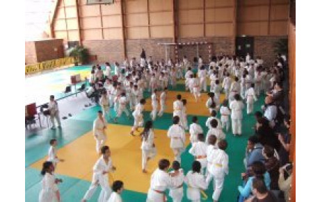 Drancy ( 93 )  - Tournoi des petits champions 