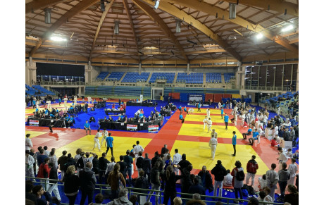 Championnat régional IDF FFJ