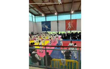 Championnat minimes - FFJ 93